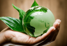 How to Choose the Best Environmental Consulting Firm