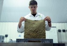 future growth analysis forecast