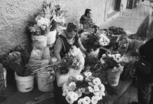 market data numerical analysis