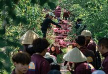 strategic growth initiatives identified