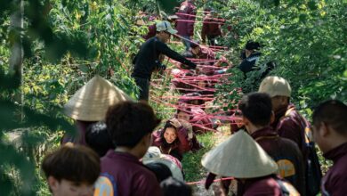 strategic growth initiatives identified