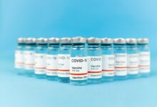 fusion path start driving industry breakthroughs