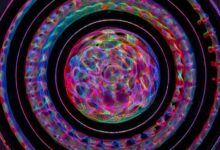 fusion wave start unlocking progressive