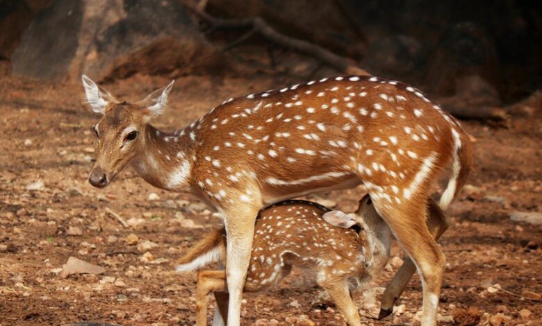 nova axis start fuels industry breakthroughs