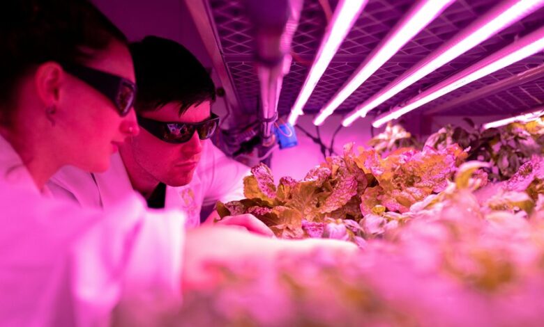 quantum flow initiating growth unlocks