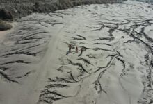 quantum wave inspiring transformative impact