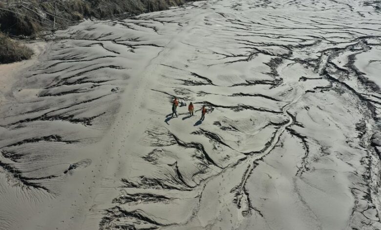 quantum wave inspiring transformative impact