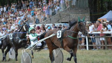 stellar flow start 8778312873