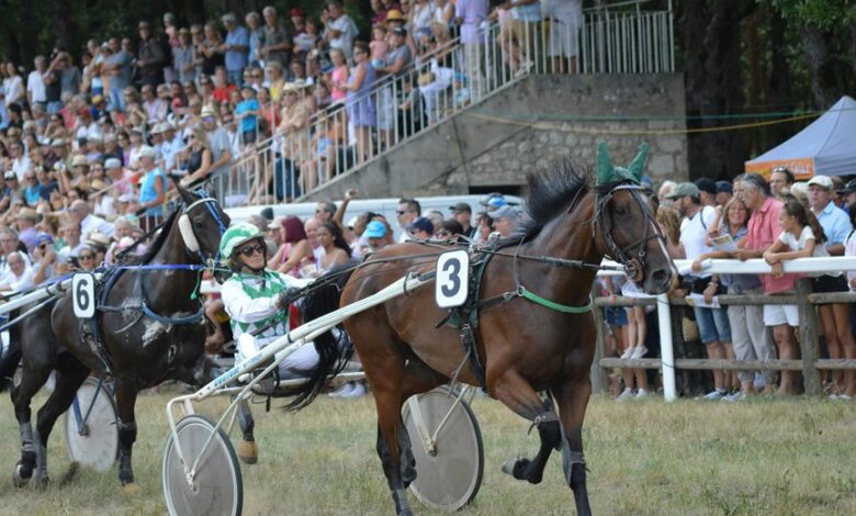 stellar flow start 8778312873