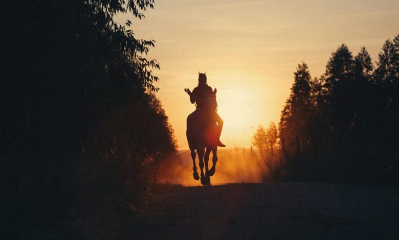 stellar path start 9046640038