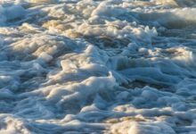 velocity crest start 8884315114 leading progressive change