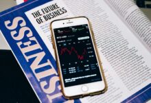 content discovery portal blog insights