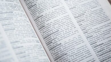 language keyword insight portal anamnes