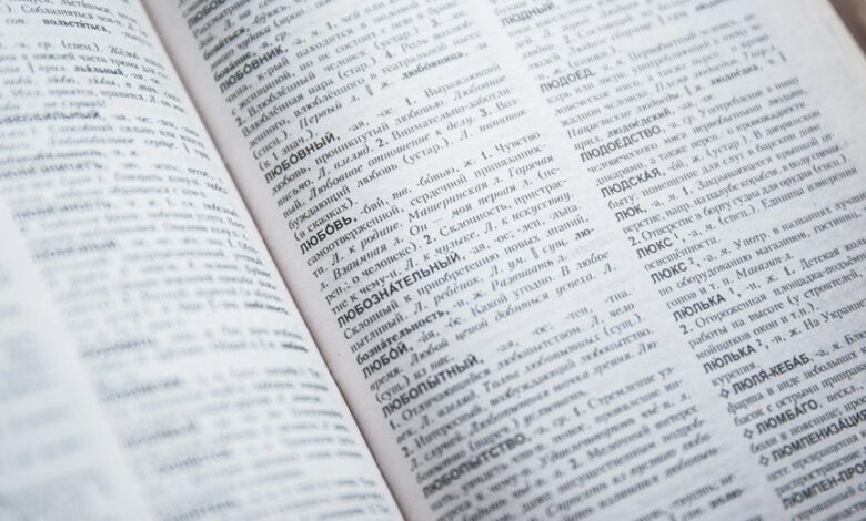 language keyword insight portal anamnes