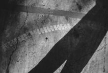 online identity research hub exploring traces