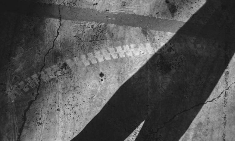 online identity research hub exploring traces