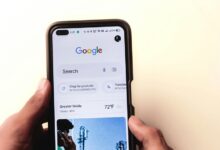 personal profile research node amyeddy409 online presence searches