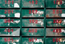 scam research portal check