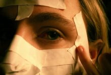 social profile discovery hub