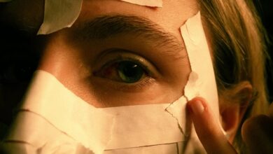 social profile discovery hub