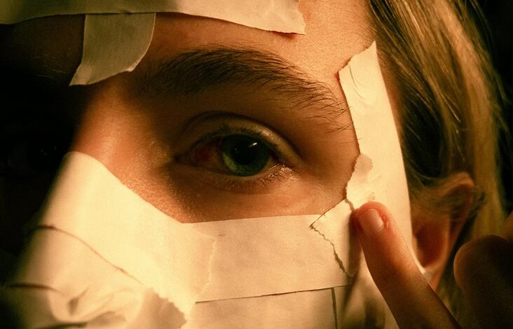 social profile discovery hub