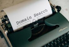 website domain insight guide explores platform details