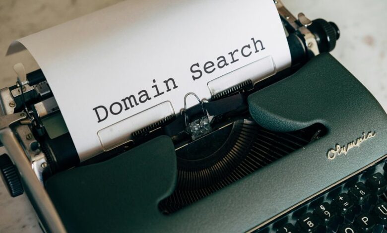 website domain insight guide explores platform details