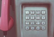 public number registry query results