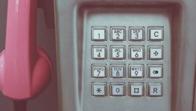 public number registry query results