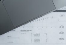 public registry reports identifiers search