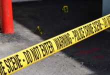 registry entries reveal various investigations
