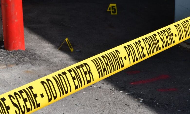 registry entries reveal various investigations