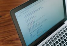registry search findings compiled for five ids