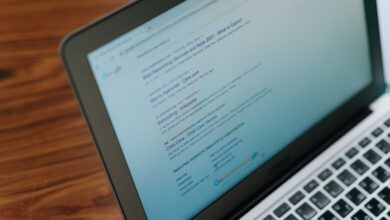 registry search findings compiled for five ids