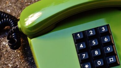 search registry by phone numbers
