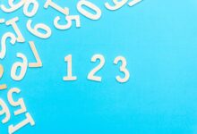 searches ids 3505360681 3296290550 3882429636 3887909757 3420999379