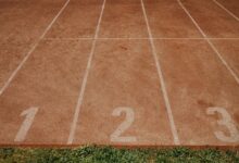 track verified numbers for listed profiles