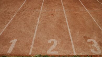 track verified numbers for listed profiles